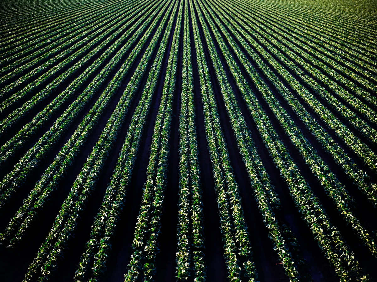 Aerial view of agricultural fields for origin transparency
